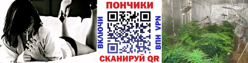 Канабис конопля Жирновск